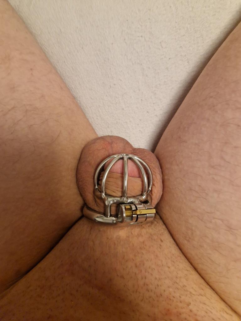 FrauKleinschwanz... tweet media