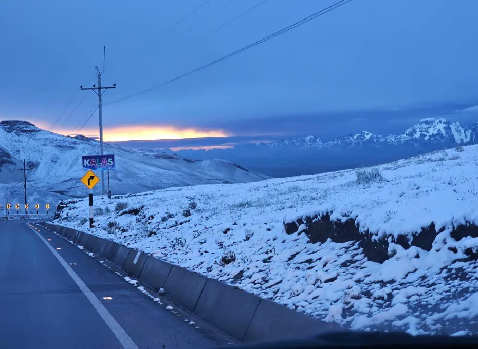 muzystar21🇵🇪 tweet media