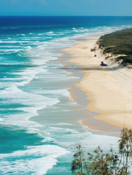 Earth Pictures tweet media