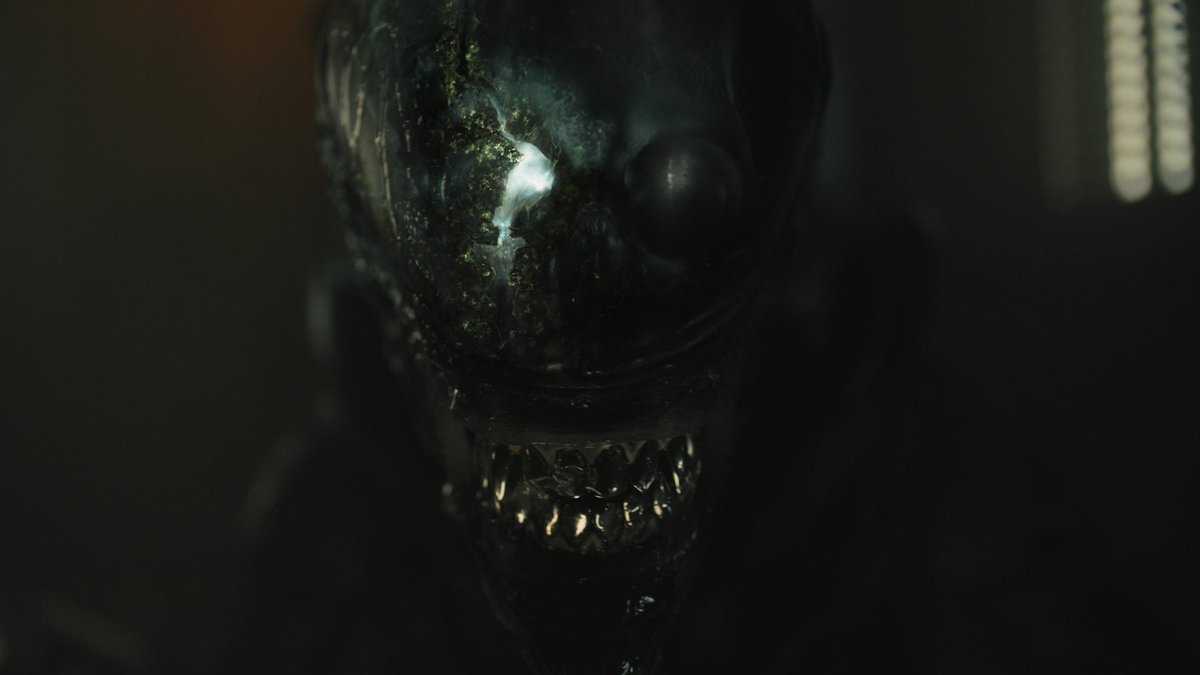 TheRiddlerMan's tweet image. Happy #AlienDay!

Explore some concept art from @fedalvar’s #AlienRomulus, then click the link below for the full gallery of work from #IndustrialLightandMagic Aaron McBride, Amy Beth Christenson, Alexander Jaeger, Fred Palacio, Igor Staritsin, and Mathilde Marion.

Learn more: