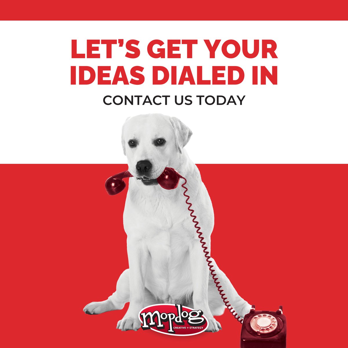 Mopdog's tweet photo. Have a great idea? Let’s bring your vision to life! Mopdog offers the services and solutions that your business needs to stand out. Contact us today to get started: https://t.co/bsgtuXDAyg https://t.co/W0j4fPPCde