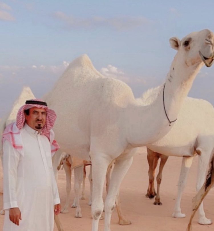 bbaa515's tweet photo. انتقل إلى رحمة اللّٰه الشيخ دليبح بن حزام ال رحمان ال عاطف القحطاني عصر هذا اليوم والصلاه عليه غدآ في مسجد الهويدي في محافظة المزاحميه
ونخص العزاء قبيلة ال عاطف وقبائل قحطان وأبناءه رجل الاعمال حزام دليبح القحطاني وناصر دليبح القحطاني وذيب دليبح القحطاني والله يغفرله ويرحمه
烫
انتقل الى رحمة الله