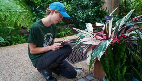 Seed Your Future tweet media