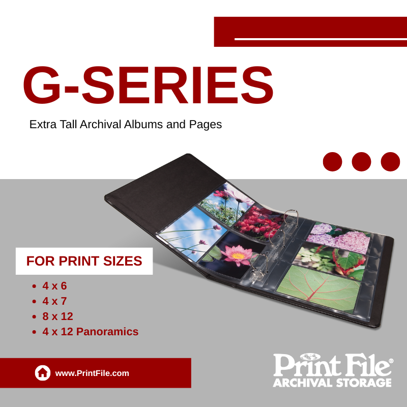 Print_File's tweet photo. Not your standard album!

G-Series albums and pages are extra tall; you can have pages for 4 vertical 4x6 prints per side. 
Also, options for 4x7, 8x12, and even 4x12 panoramic prints.

Check them out https://t.co/LTSKCHKpve

#photoorganizing #photography #archiving https://t.co/Yujbe6oToB