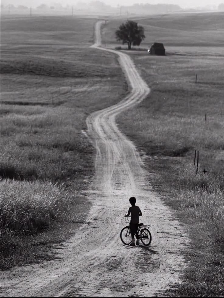 hey_apple 🍎 tweet media