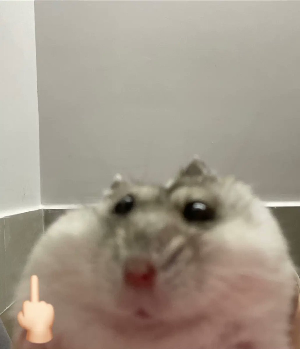 hamster tweet media