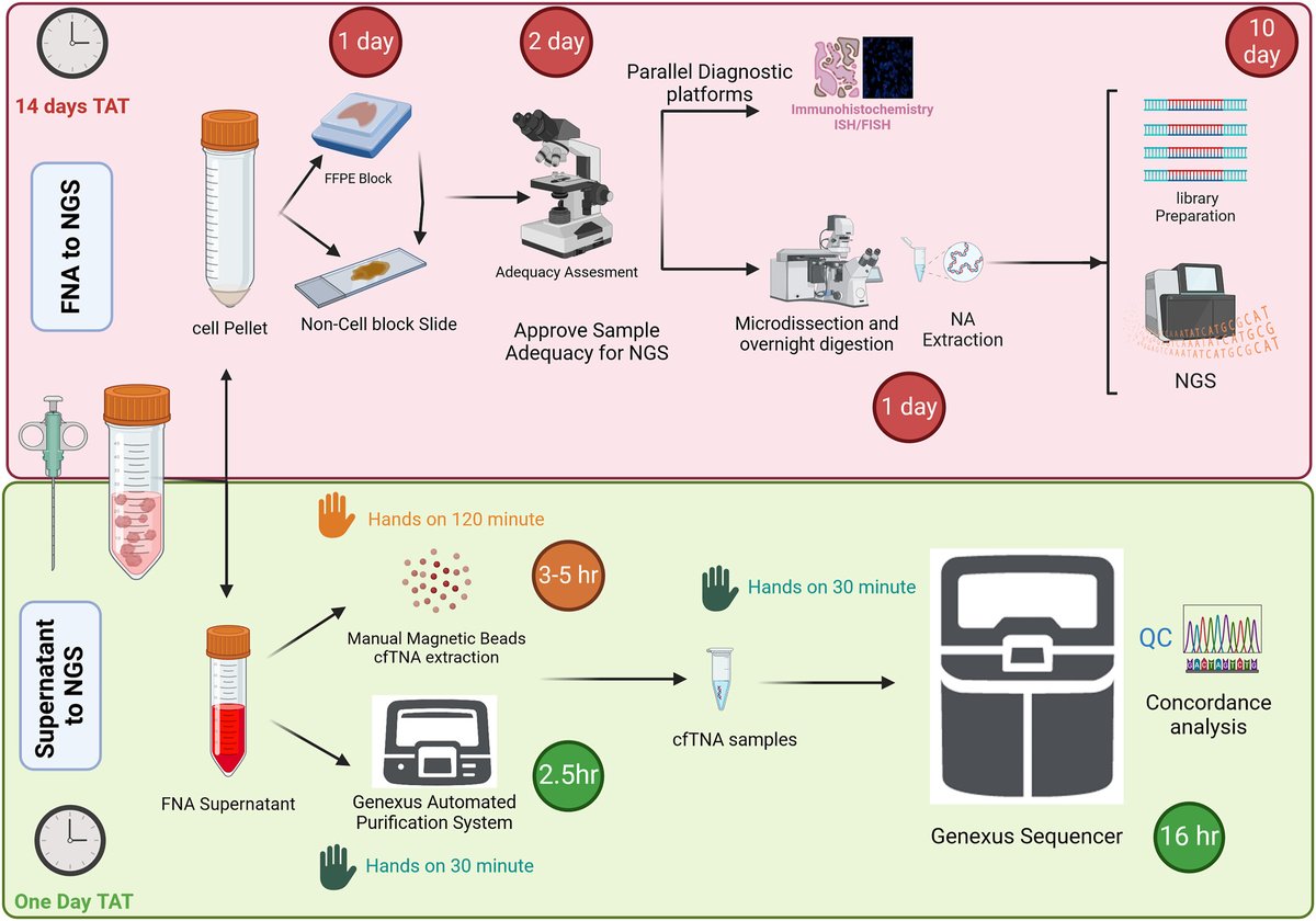 Cancer Cytopathology tweet media