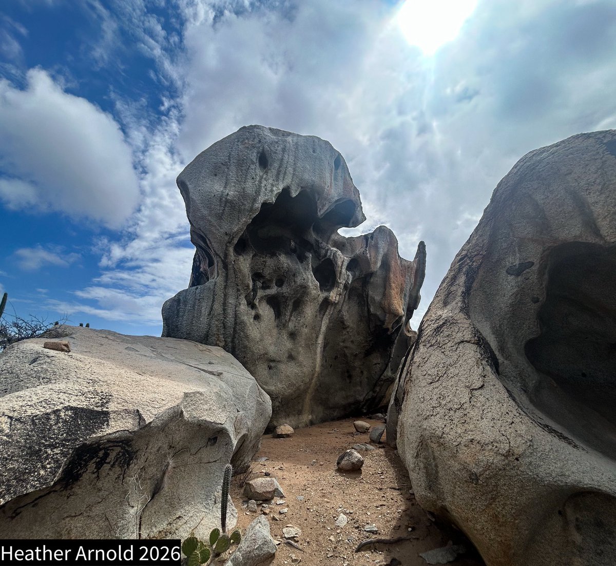 HeatherLArnold's tweet photo. An early morning hike to an ancient and sacred site known as “The Monster” or “Elephant Rock.” There are some faded pictographs in the area, too. 

I found two distinct types of artifacts along the way - an ancient piece of archaic pottery and Colonial-period Dutch Delftware ceramics. 

#Aruba #Hike