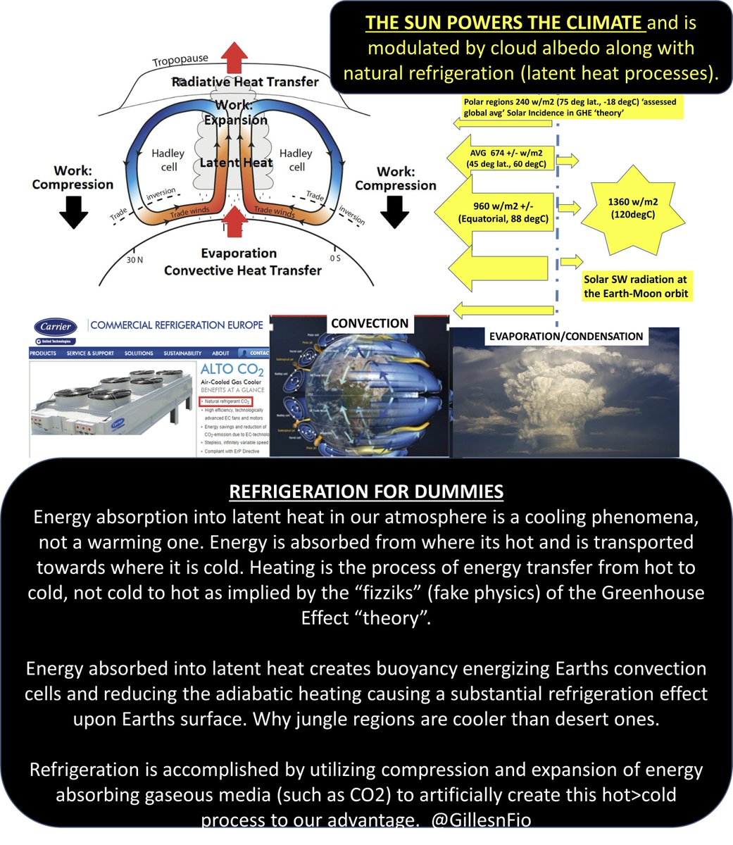 La Borghese tweet media