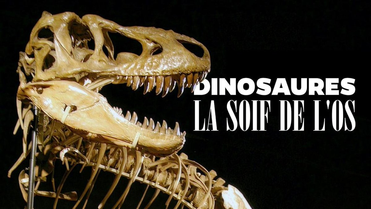 PaleontologieFr's tweet image. 📺
"#Dinosaures à vendre: quand les chasseurs de #fossiles privent la science de ses trésors"
#Documentaire #paléontologie 

rts.ch/info/environne…