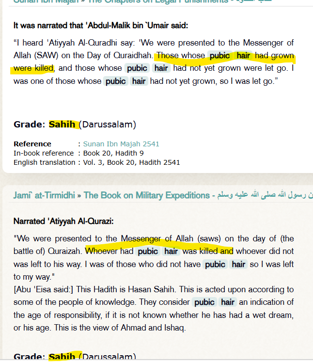 Michel Papineau 🇨🇦 tweet media