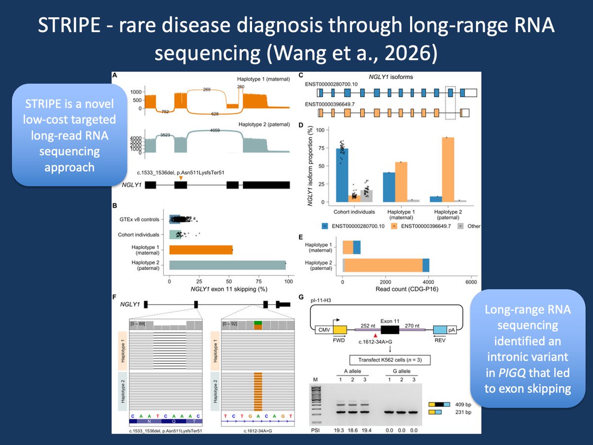 Ingo Helbig tweet media