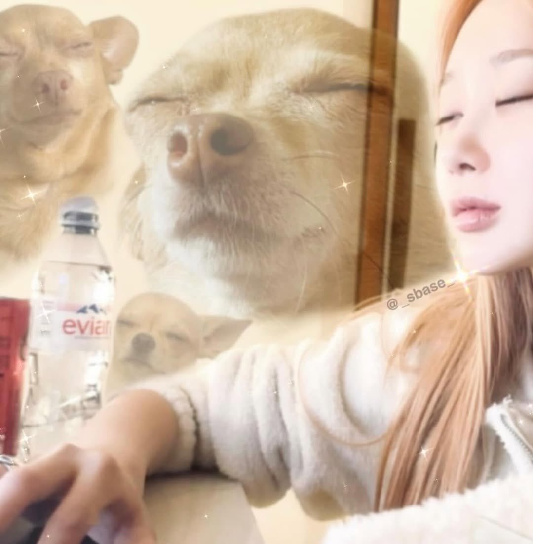 yerimy | 🍋 tweet media