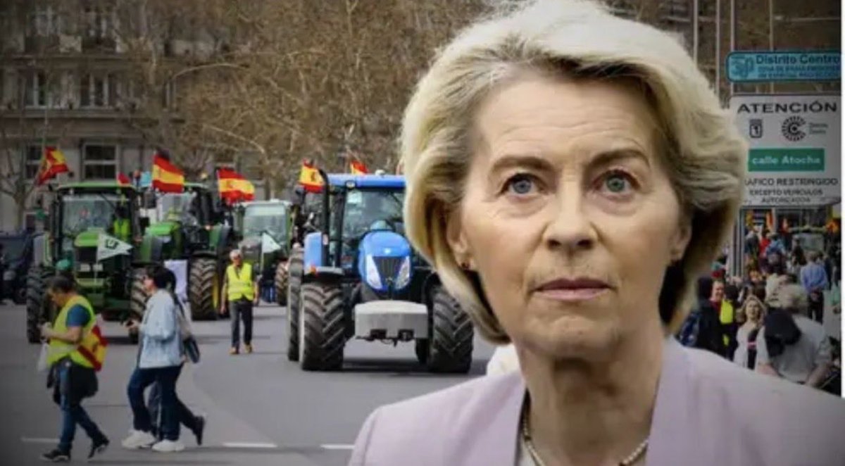 Diosa Khali tweet media