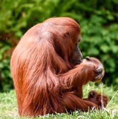 🦂THEE Auntie with no kids♏️ tweet media