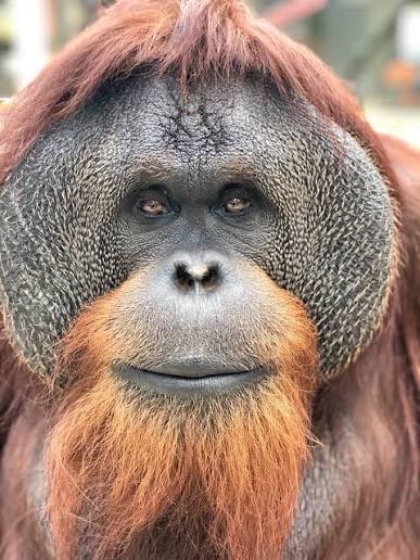 🦂THEE Auntie with no kids♏️ tweet media