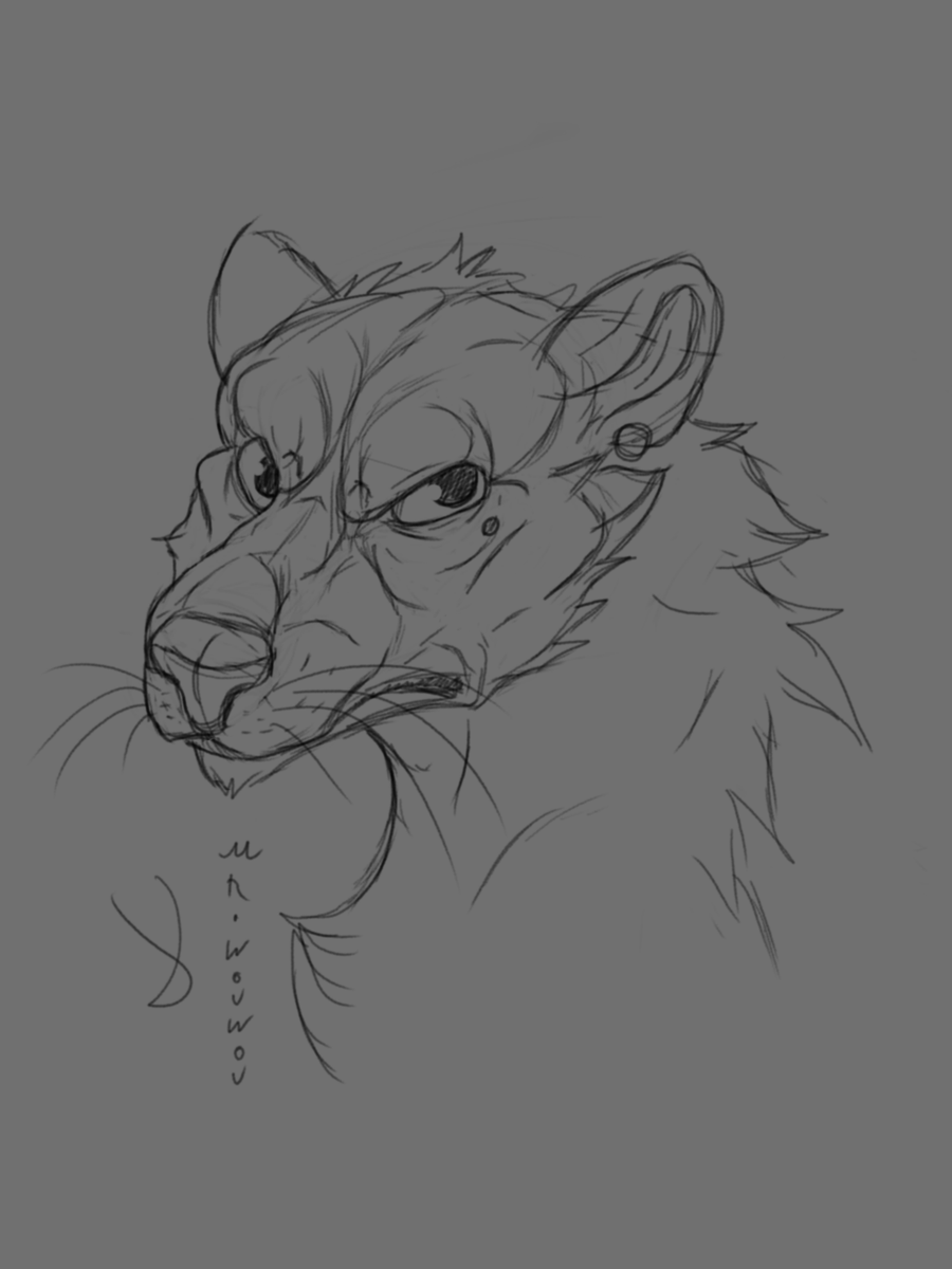 MrWouwou's tweet image. Kika Sketchart   

#kika #lion #lioness #felin #furry