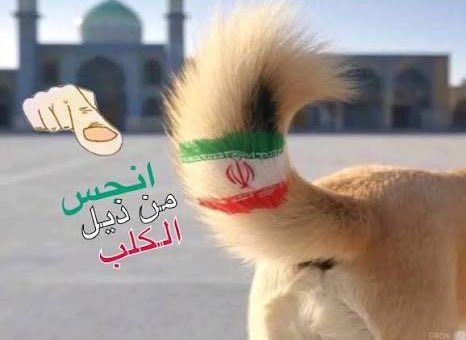 Fares Alenezi 🇰🇼 tweet media