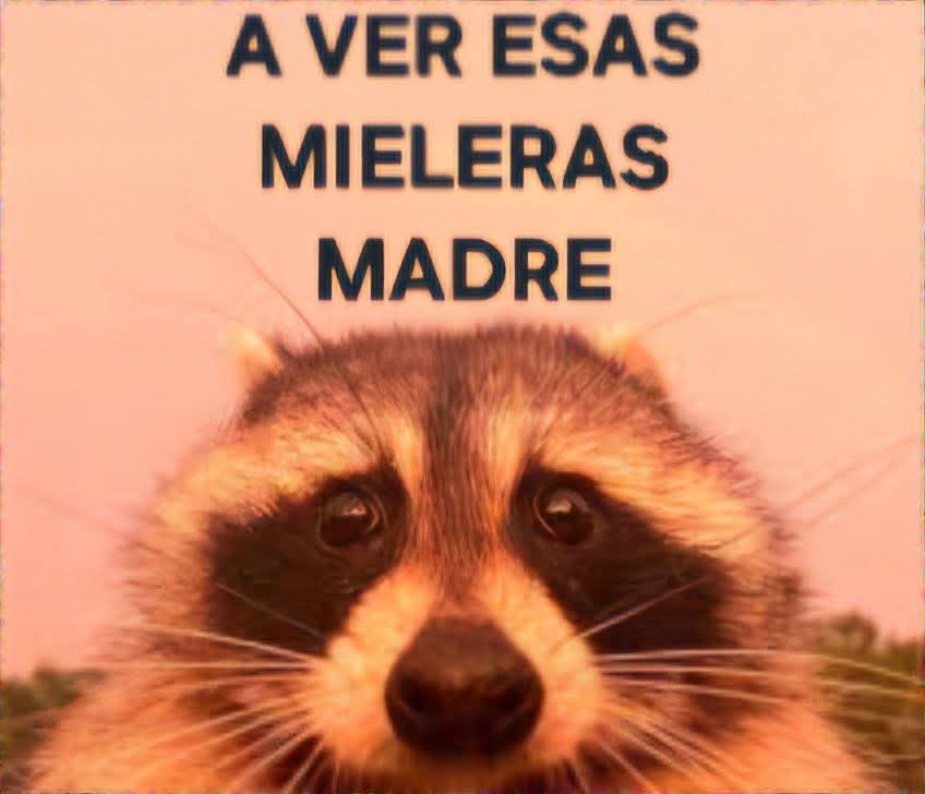 Jorgete tweet media