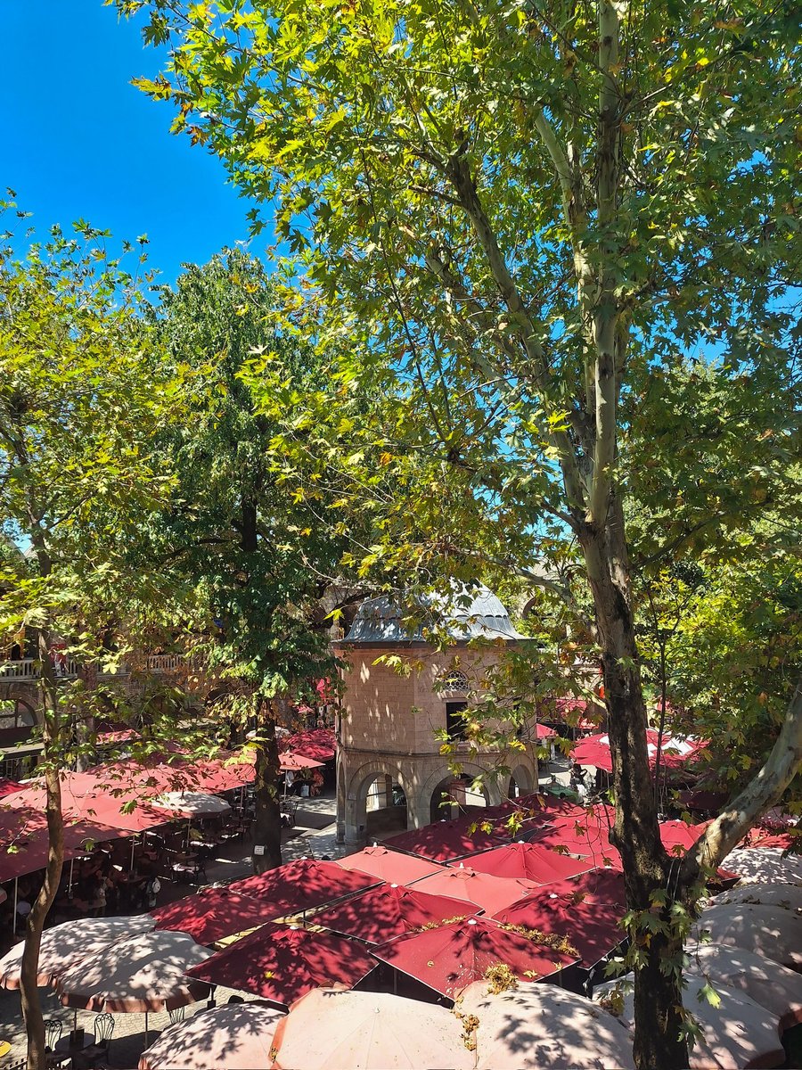 etginlik's tweet image. Türk kullanıcılar arasında başlayan rakip akımlar:

▬ İstanbul Mavisi
▬ Bursa Yeşili
▬ Ankara Grisi