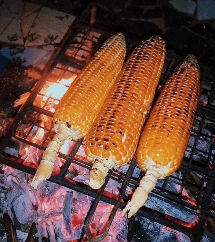 Miss Home tweet media