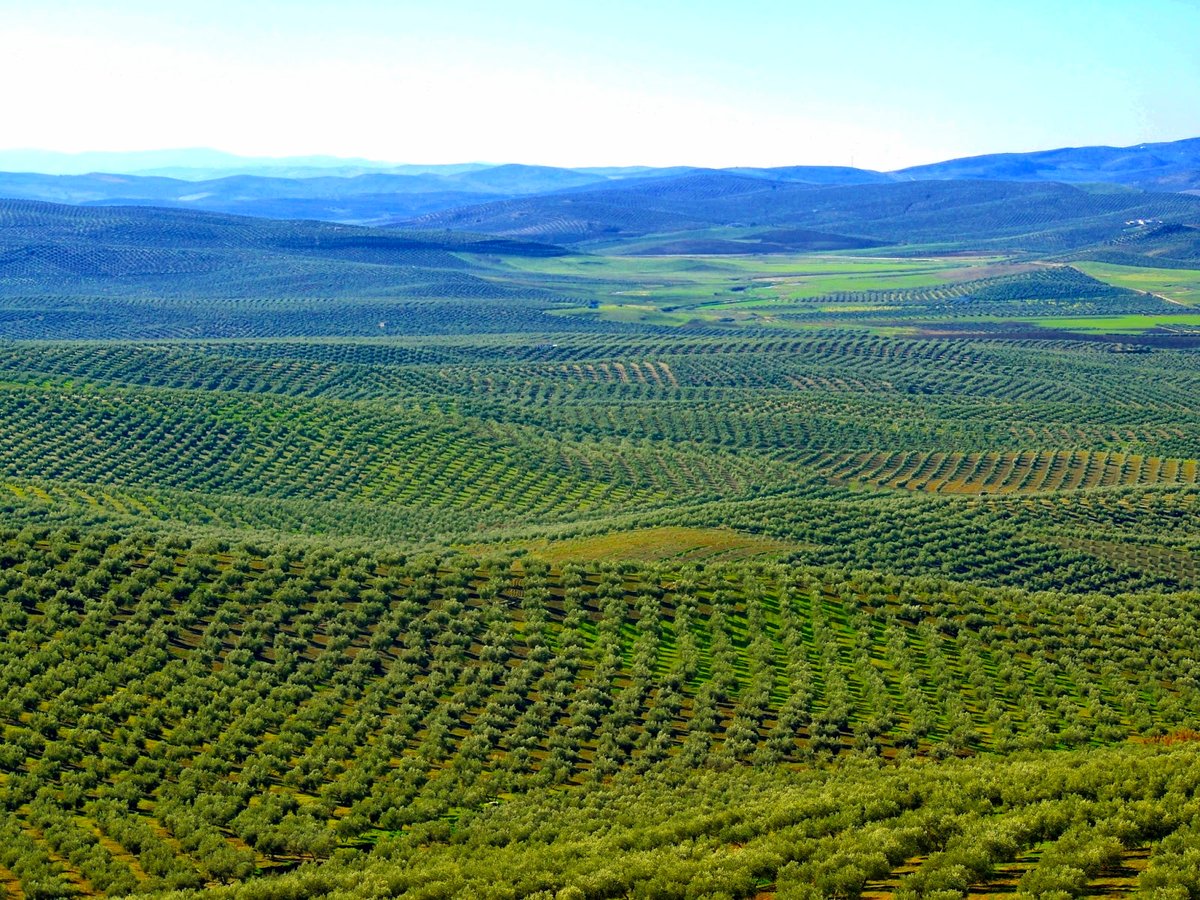 𝐉𝐀𝐌 tweet media