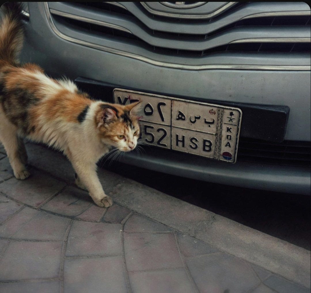 #عاشق_الماضي tweet media