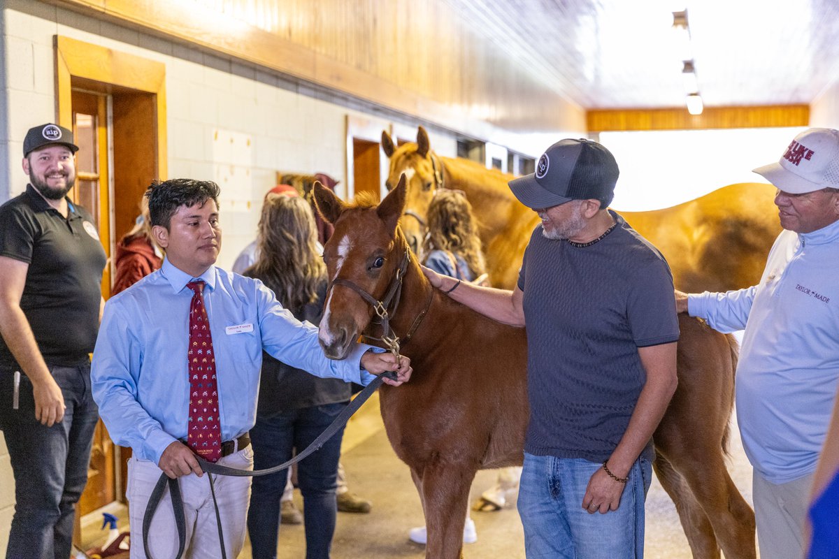 Horse Country tweet media