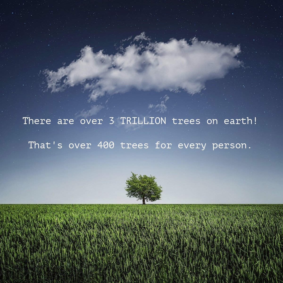 TGGTradeNetwork's tweet photo. This fact reminds us how important Horticulture is! 
Where would we be without our green spaces? Where would we be without qualified professionals to care for them?

#hortlife #qualifiedgardeners #gardenmaintenance https://t.co/Qc0NDACFSo