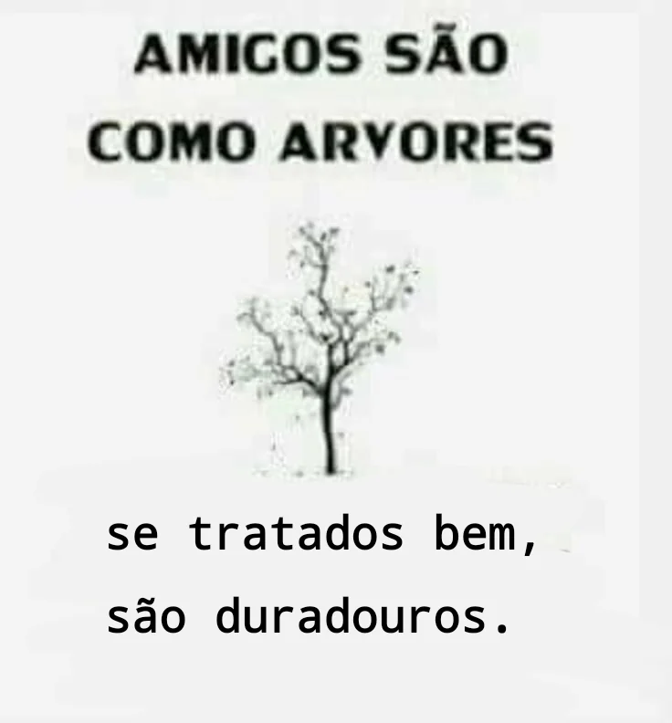 Página Séria. tweet media