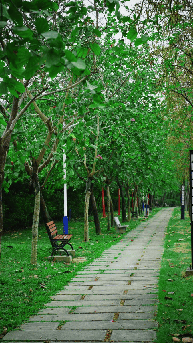 ELASRISAID9's tweet image. " Community Clean-Up Day! This Sat (10 AM) at Maple Park—bring gloves/bags, meet new neighbors, keep our space green! Free snacks for all. Let’s make our neighborhood shine! #CommunityLove #GreenInitiatives"