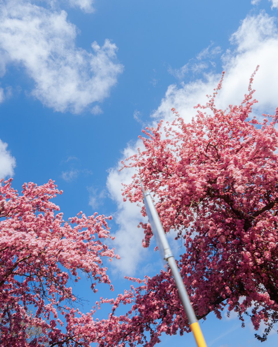 Chris Malchow tweet media