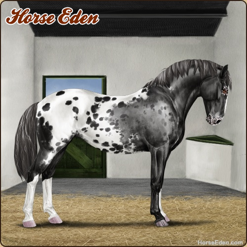 HorseEdenGame's tweet image. Today's featured Game Horse! Breed your dream horse! Play for free today!
#horse #horses #horsegame #horseeden #animals #simgame #petsim #petgame #animalgame #wolfart #appaloosa #knabstrupper #dressage #showjumping #eventing #art #game