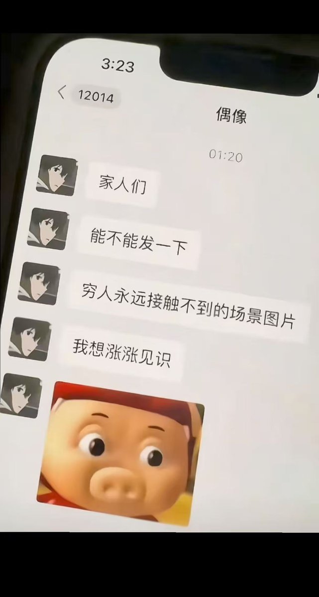 雪秋小可爱 tweet media