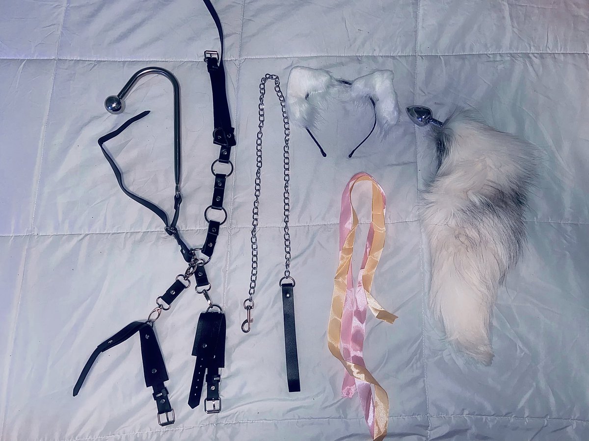 ♡ ♡ nadia ♡ฅ(ᐤˊ꒳ฅˋᐤ♪) tweet media