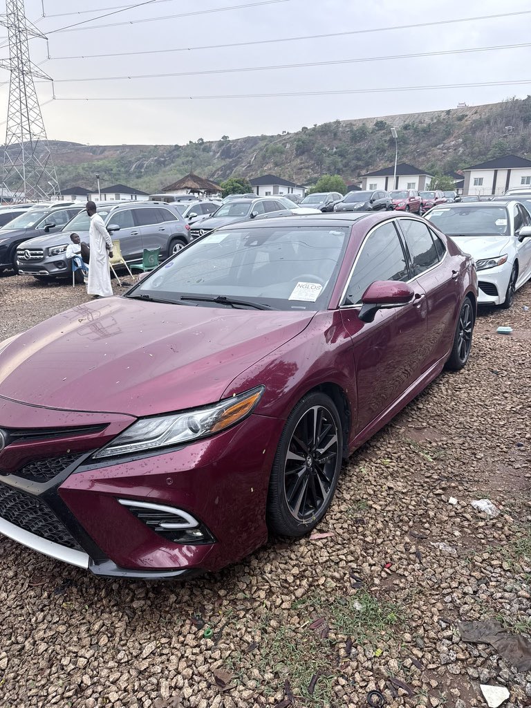 Scooby Doo 🍼 tweet media