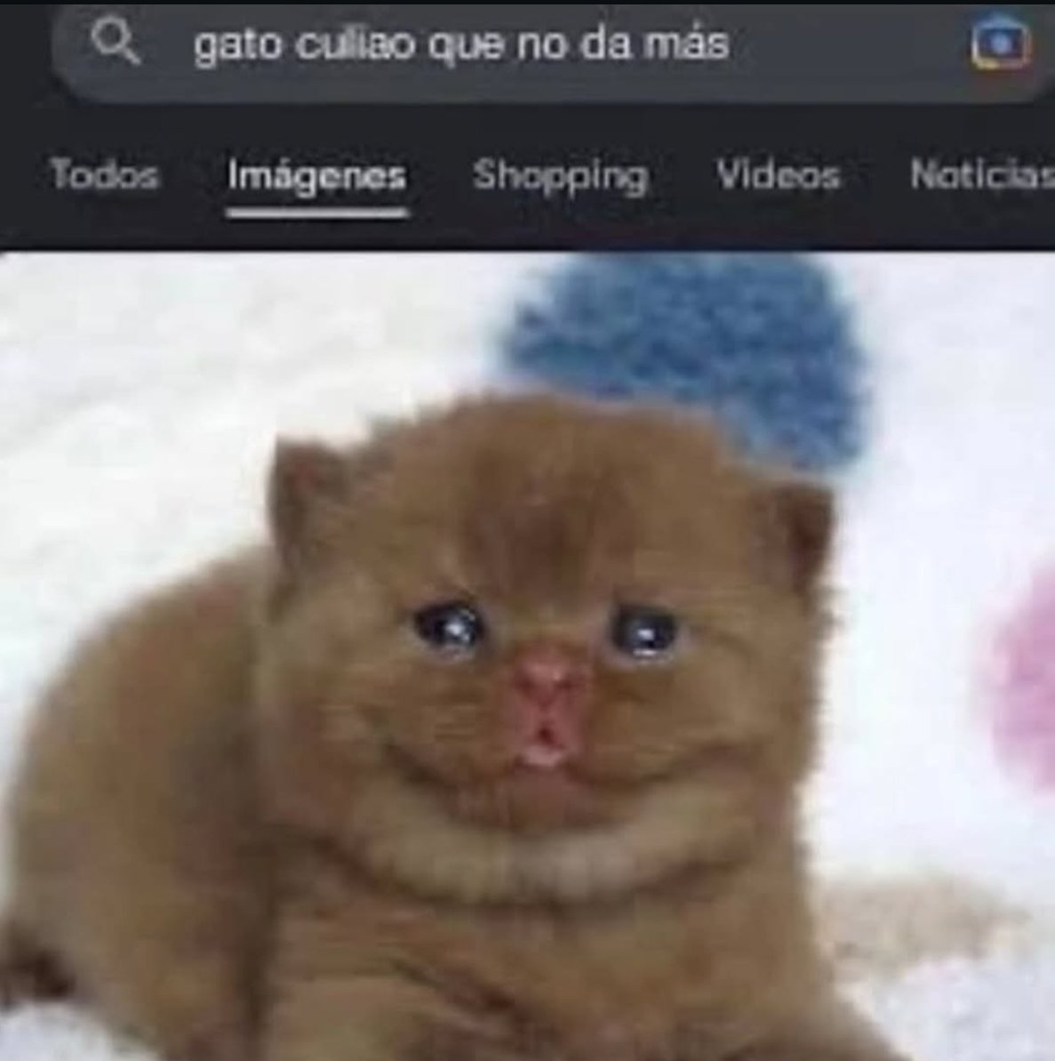 Mi cara cuando me entero que hay artistas que no contestan en 4 meses a su cliente cuando yo estoy al borde de un ataque de pánico cuando no escribo nada en dos días desde que me la pidieron