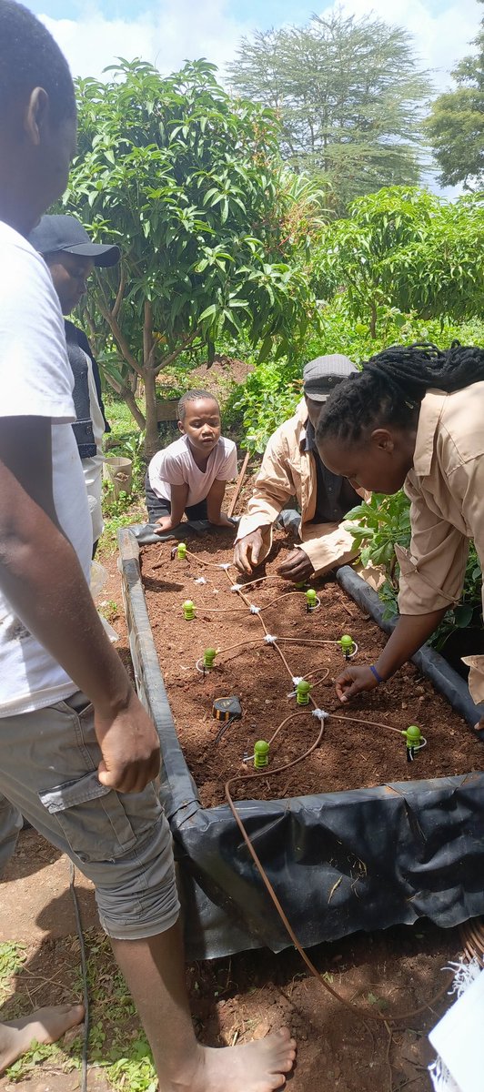 City Shamba tweet media