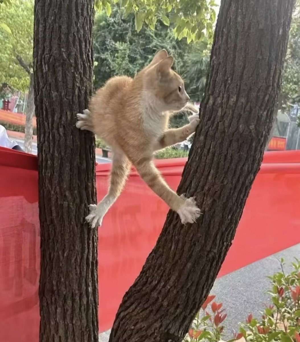 Kathleen tweet media