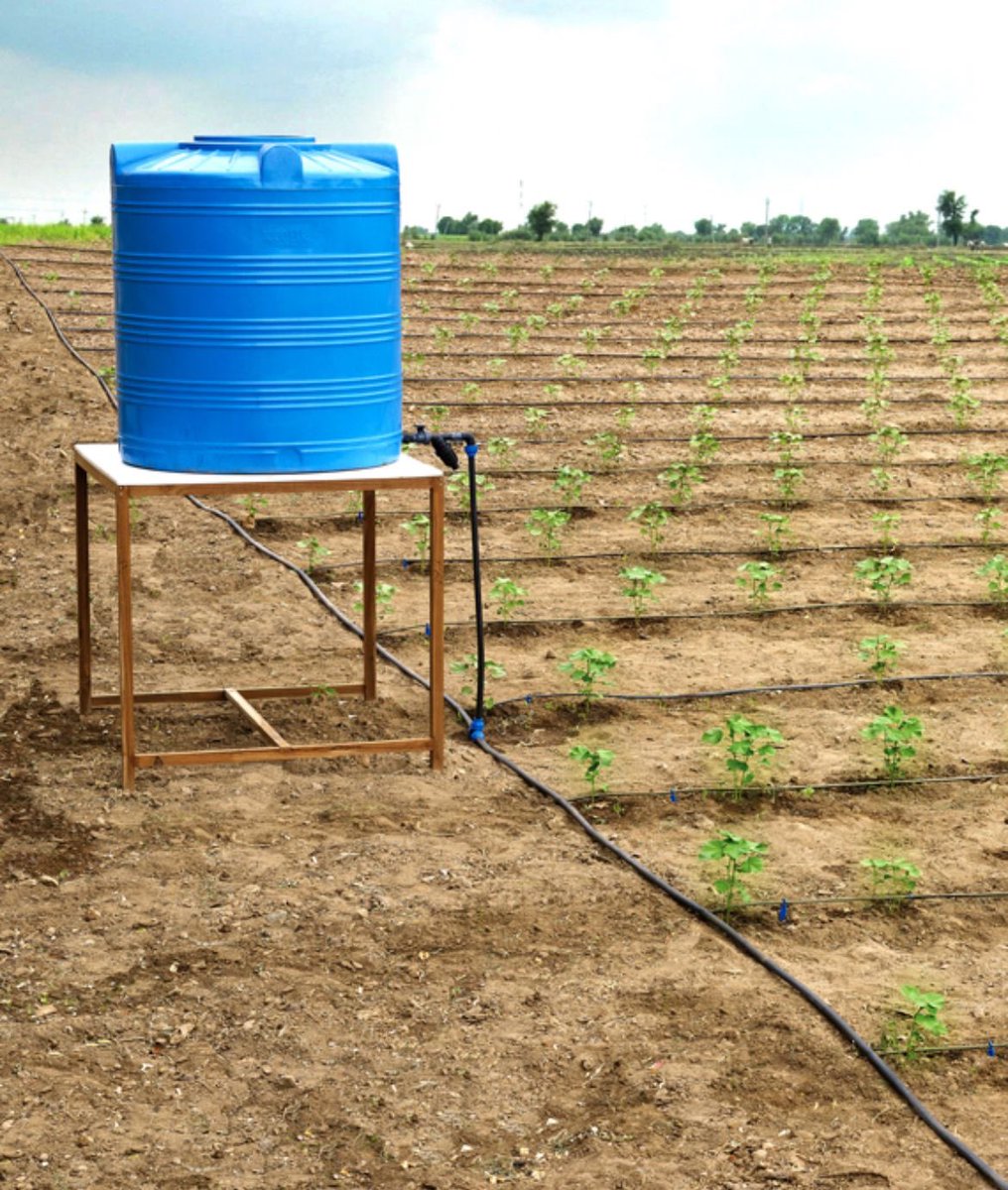 AGRONOMME 🇷🇼 tweet media