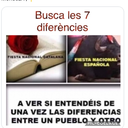 Cap-i-pota tweet media