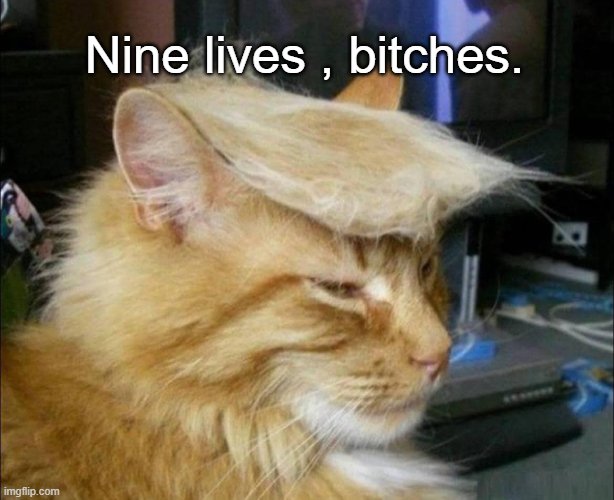 Tomorrow tweet media