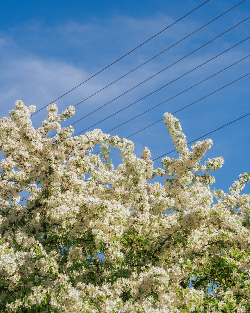 Chris Malchow tweet media