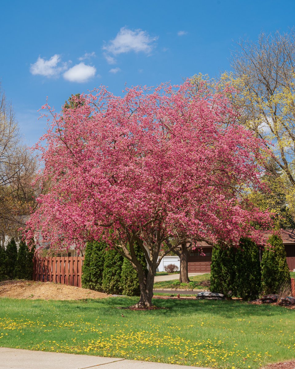 Chris Malchow tweet media