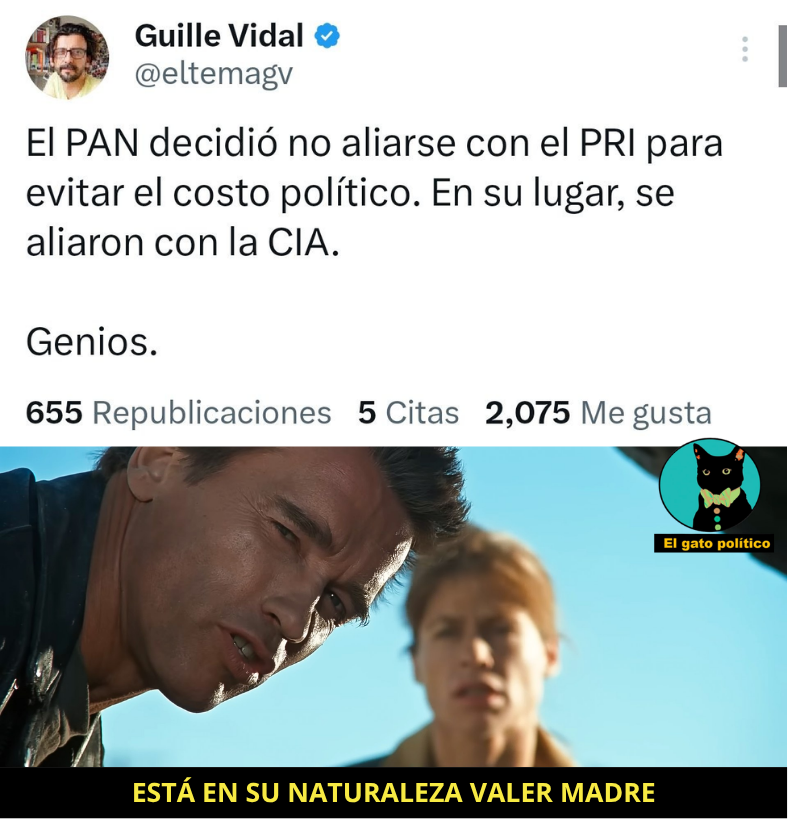 El gato político tweet media