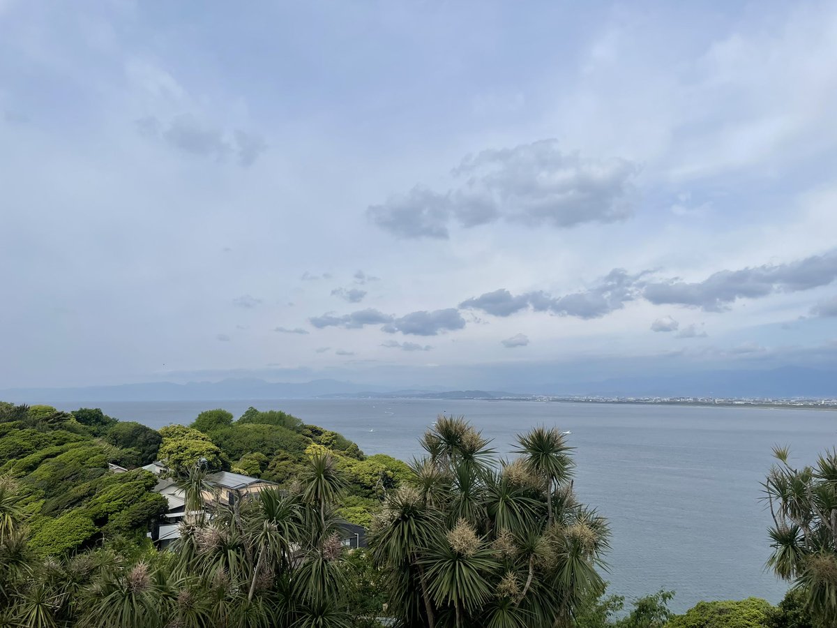 淑乃/しののん tweet media