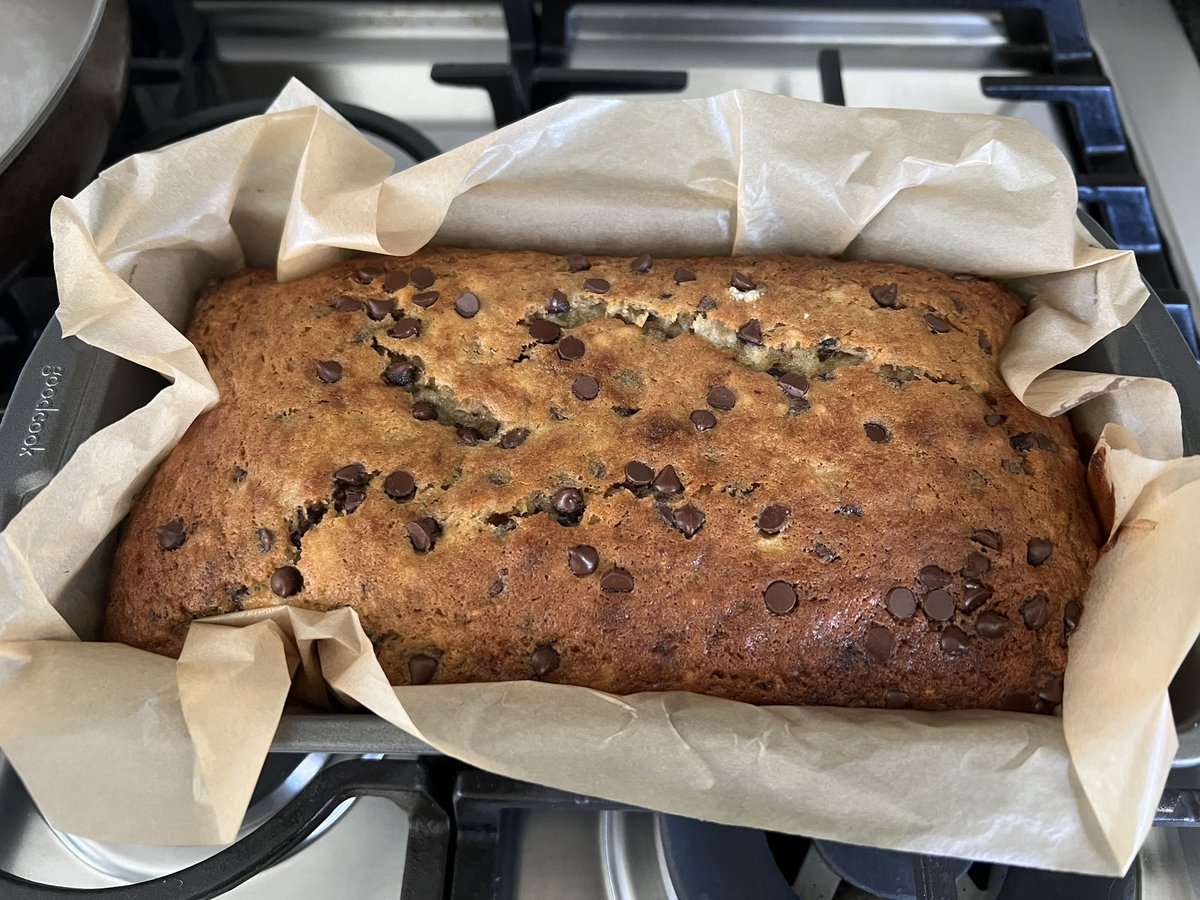 batty 🦇 tweet media