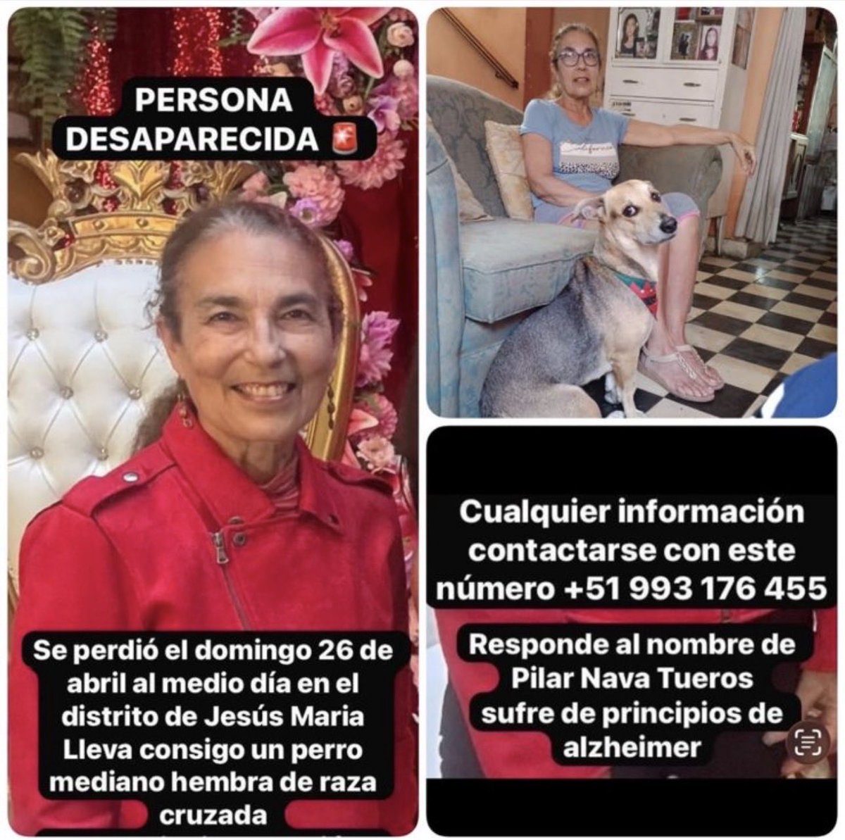 elchinicrema's tweet image. El día de ayer al medio día mi tía salió con su perrita a dar una vuelta, Ella sufre de principios de #Alzheimer, Ella no ha vuelto a casa hasta este momento, por favor pido a todos oracion y tambie que compartan este post, nos ayudarian bastante.
Cualquier info al interno!