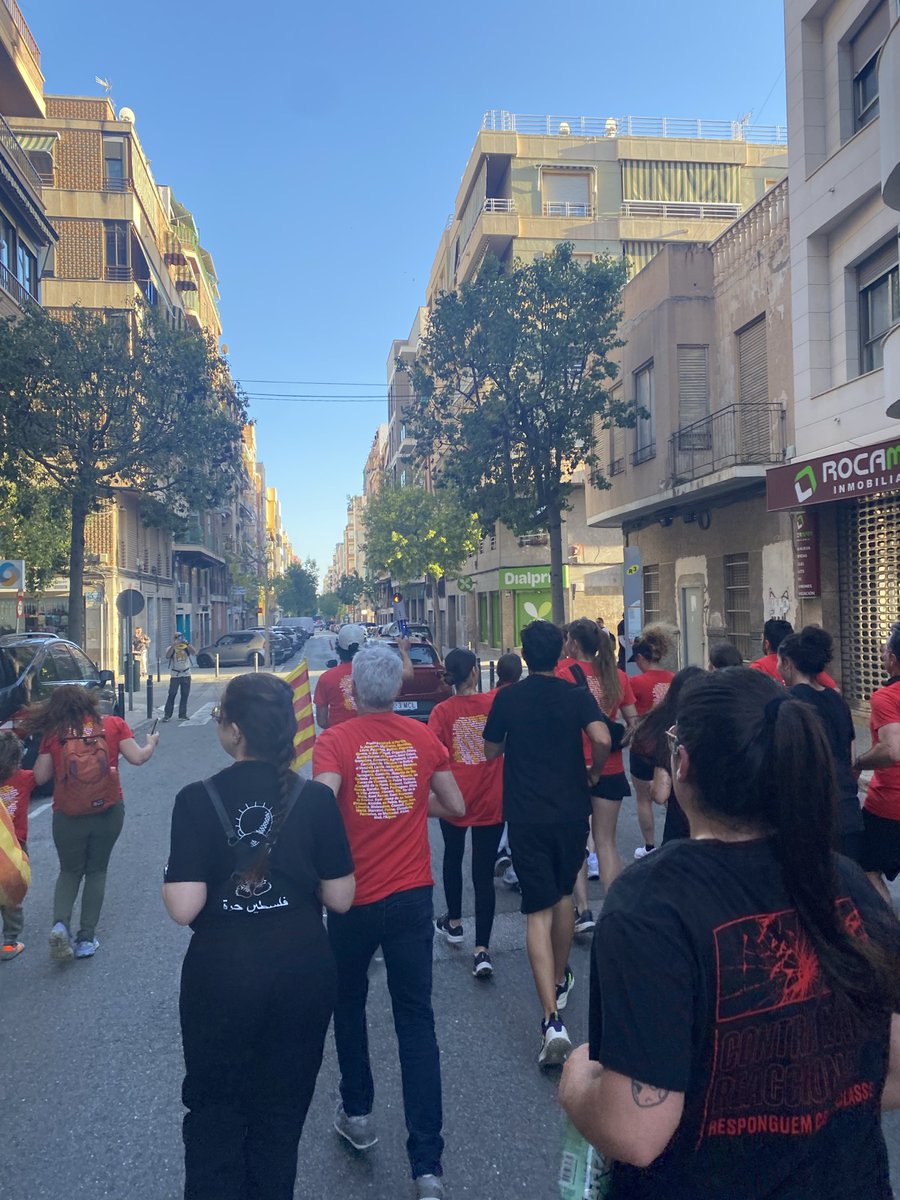 Alacant OJS tweet media