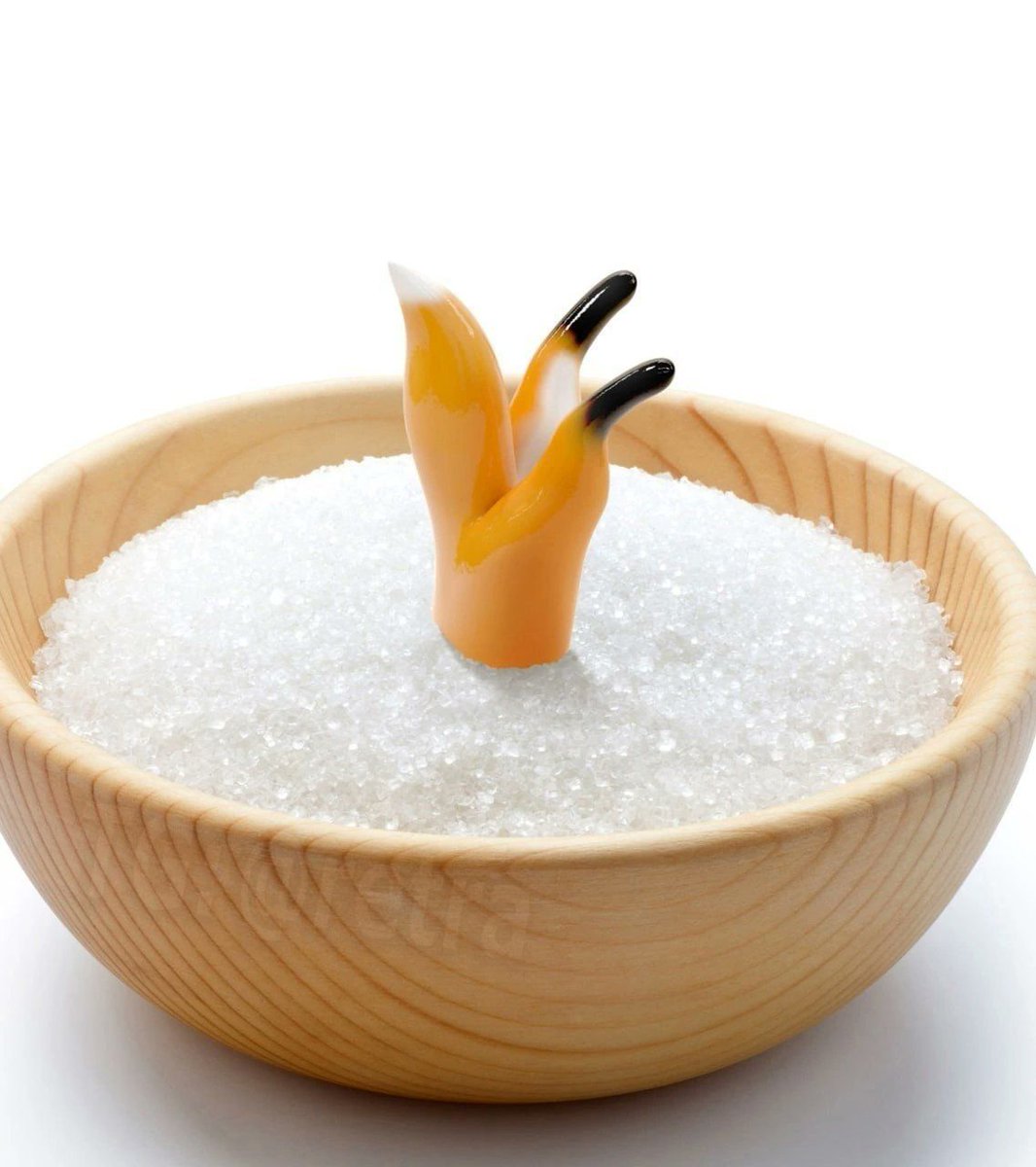 Ramin Nasibov tweet media